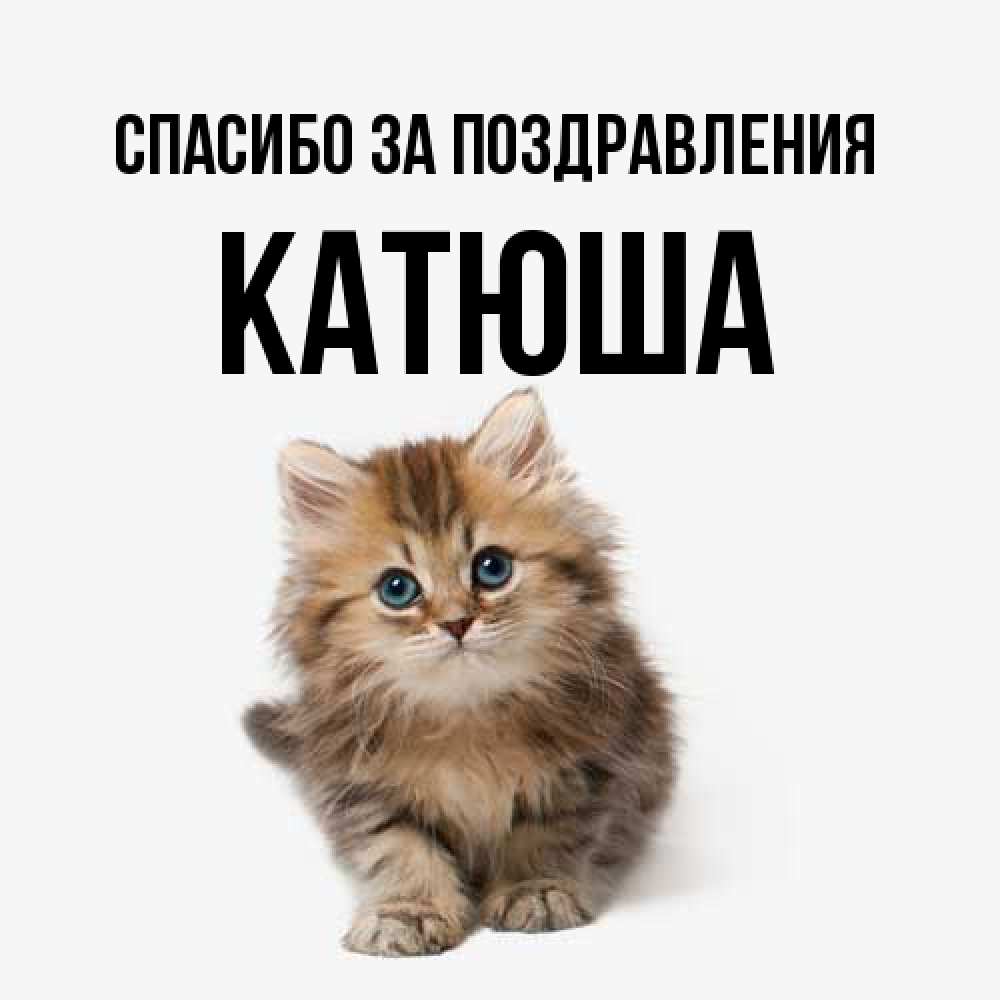 Открытка  с именем. Катюша, Спасибо за поздравления  