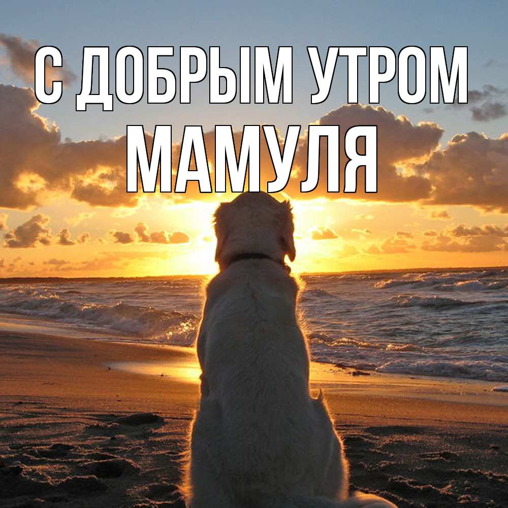Открытка  с именем. Мамуля, С добрым утром  