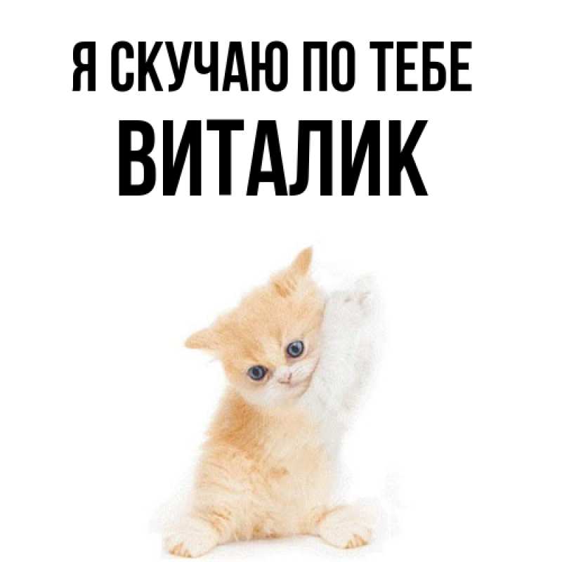 Картинка Я скучаю по тебе, Виталик
