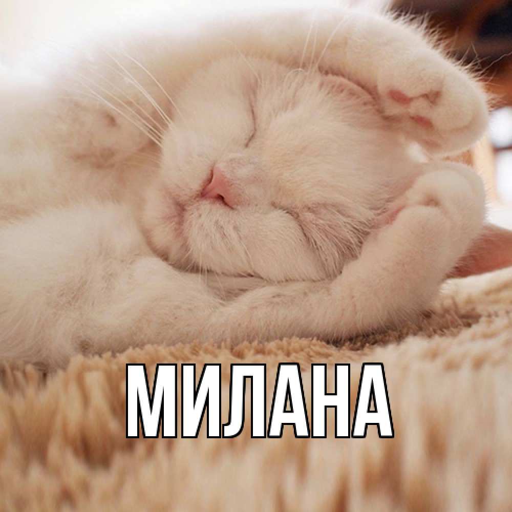 Открытка  с именем. Милана, Главная  