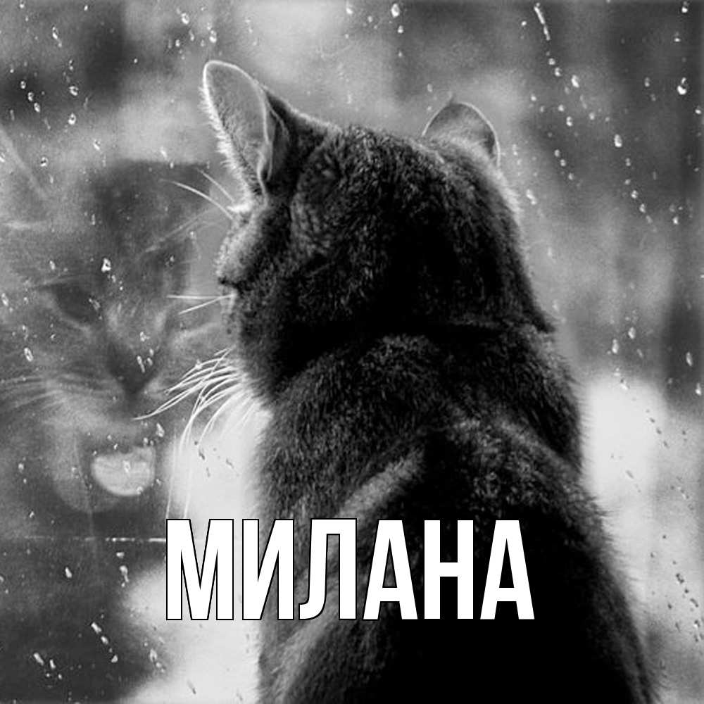 Открытка  с именем. Милана, Главная  
