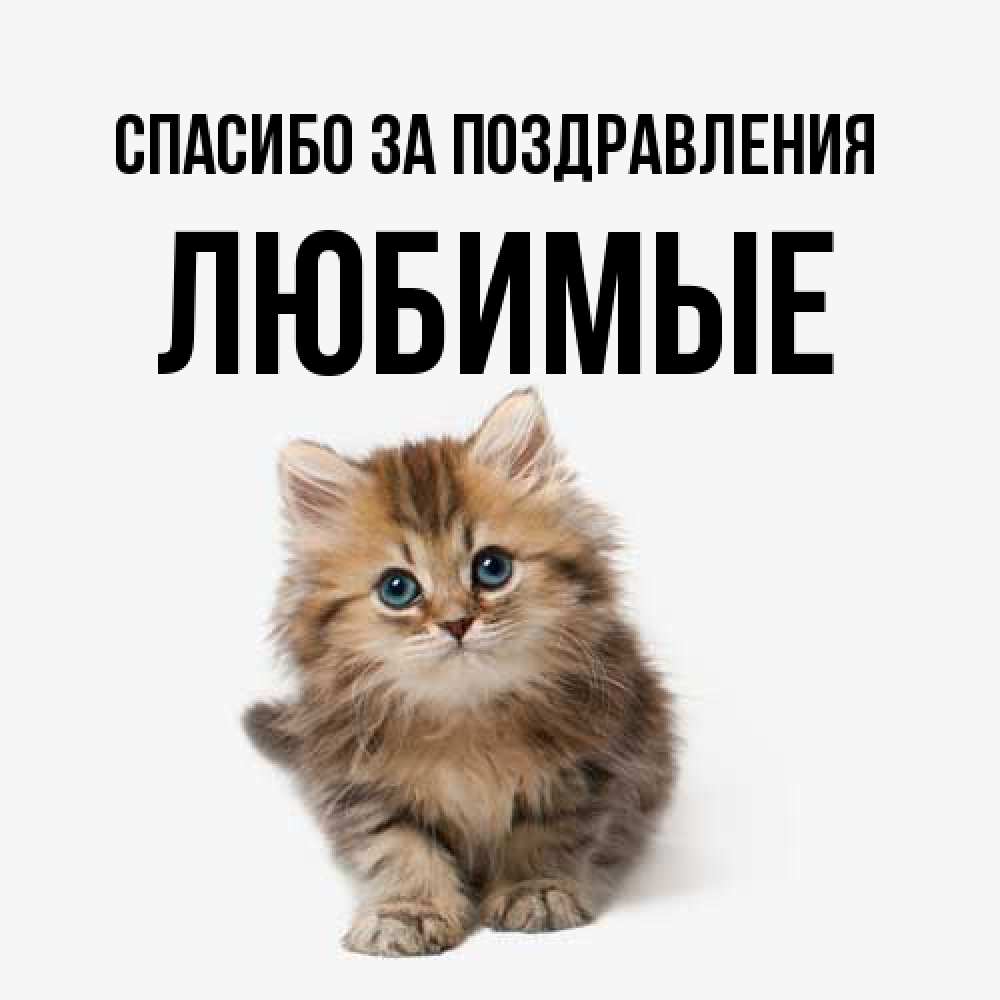 Открытка  с именем. Любимые, Спасибо за поздравления  