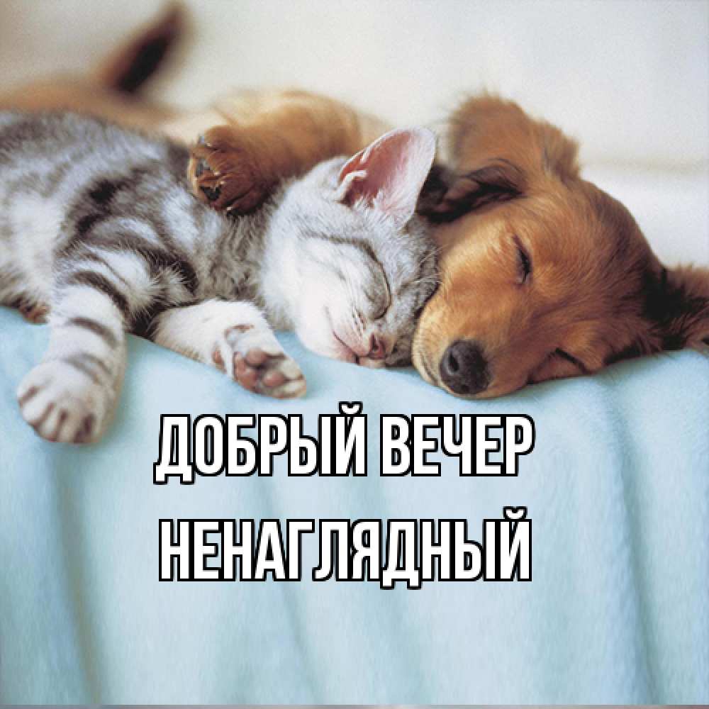 Открытка  с именем. Ненаглядный, Добрый вечер  