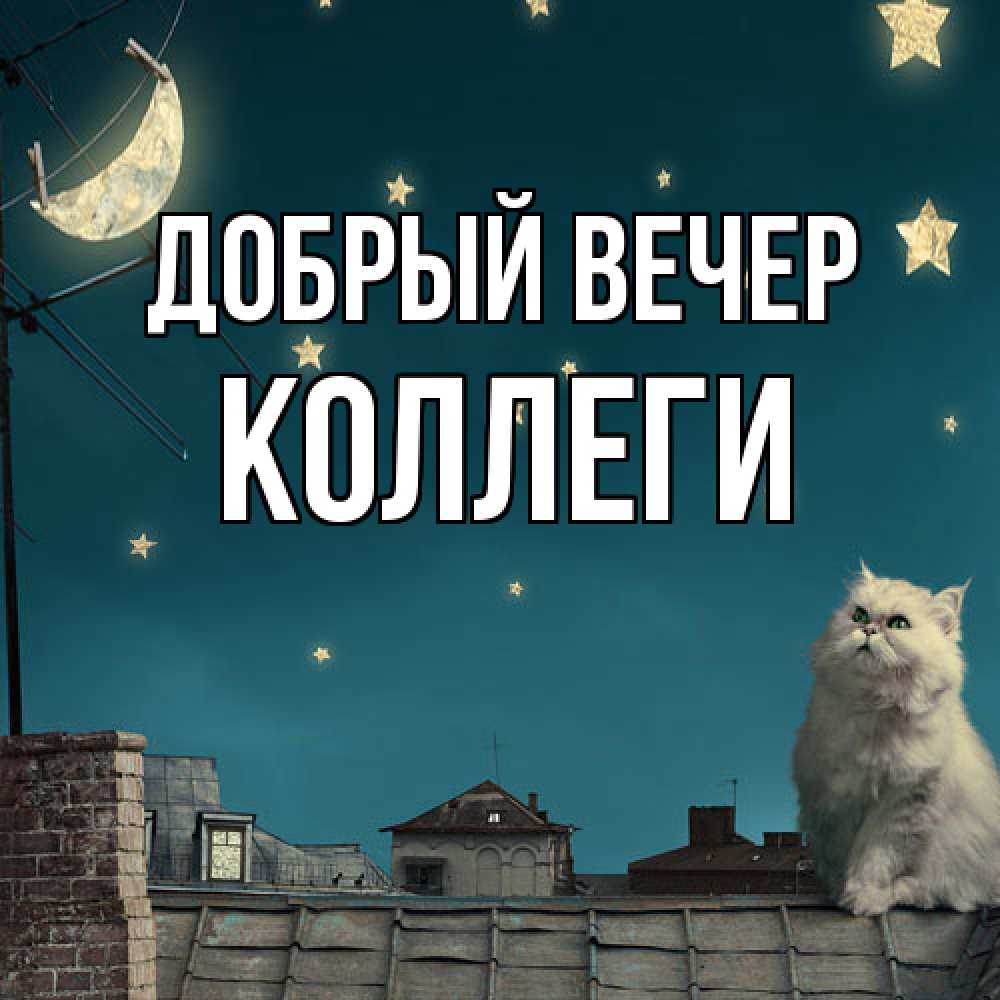 Открытка  с именем. коллеги, Добрый вечер  