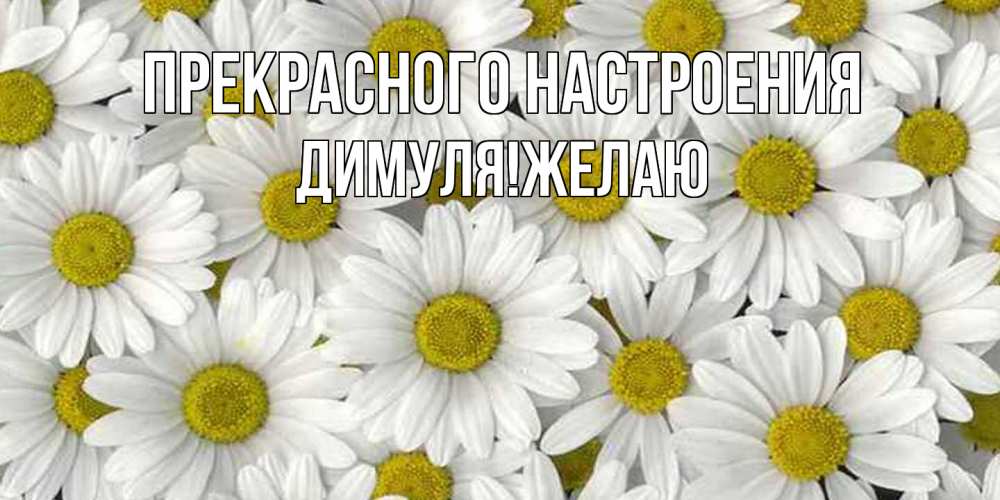 Открытка  с именем. Димуляжелаю, Прекрасного настроения  