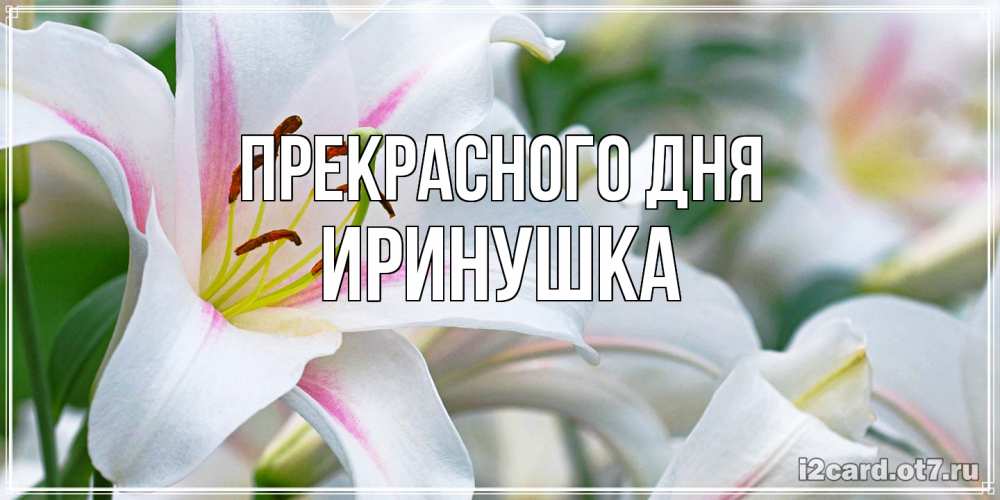 Открытка  с именем. Иринушка, Прекрасного дня  