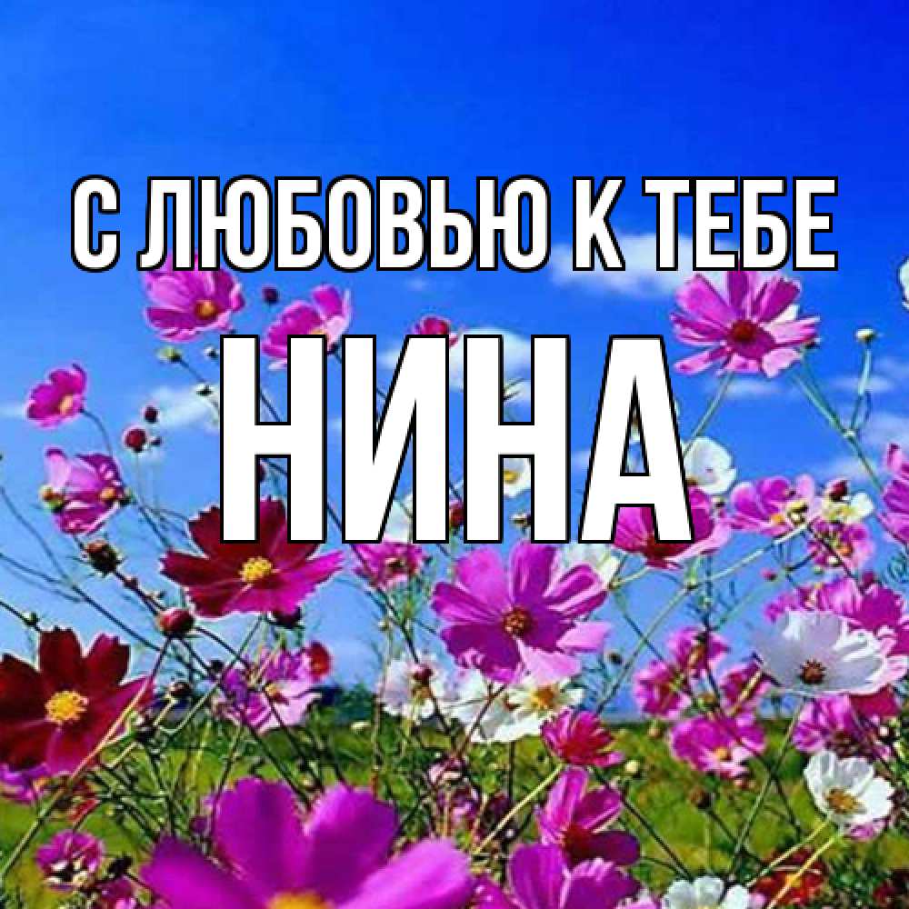 Открытка  с именем. Нина, С любовью к тебе  