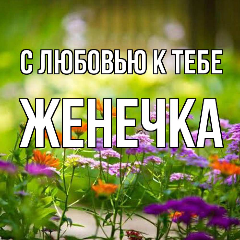 Открытка  с именем. Женечка, С любовью к тебе  