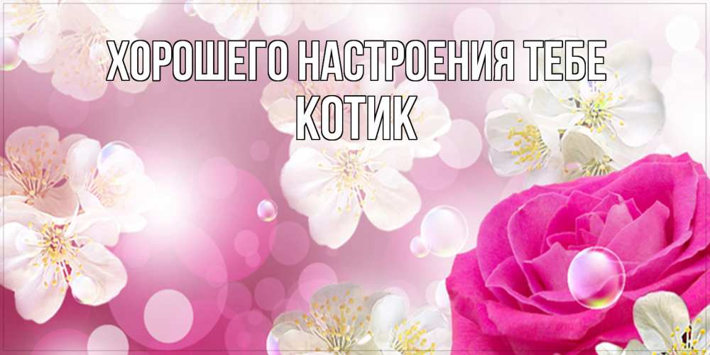 Открытка  с именем. КОТИК, Хорошего настроения тебе  