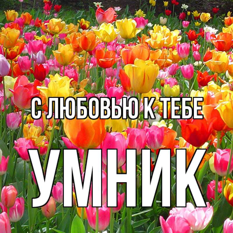 Картинка С любовью к тебе, Умник