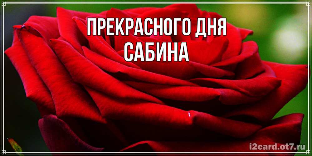 Открытка  с именем. Сабина, Прекрасного дня  