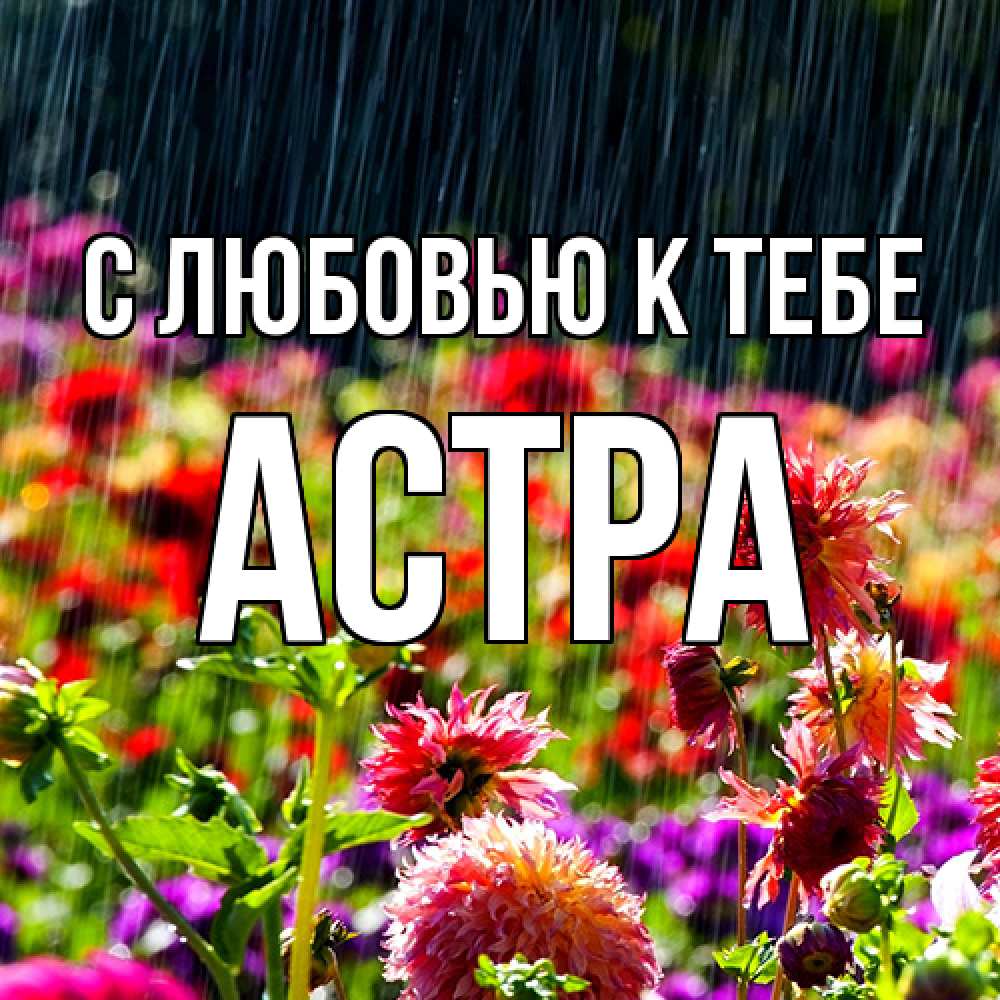 Открытка  с именем. Астра, С любовью к тебе  