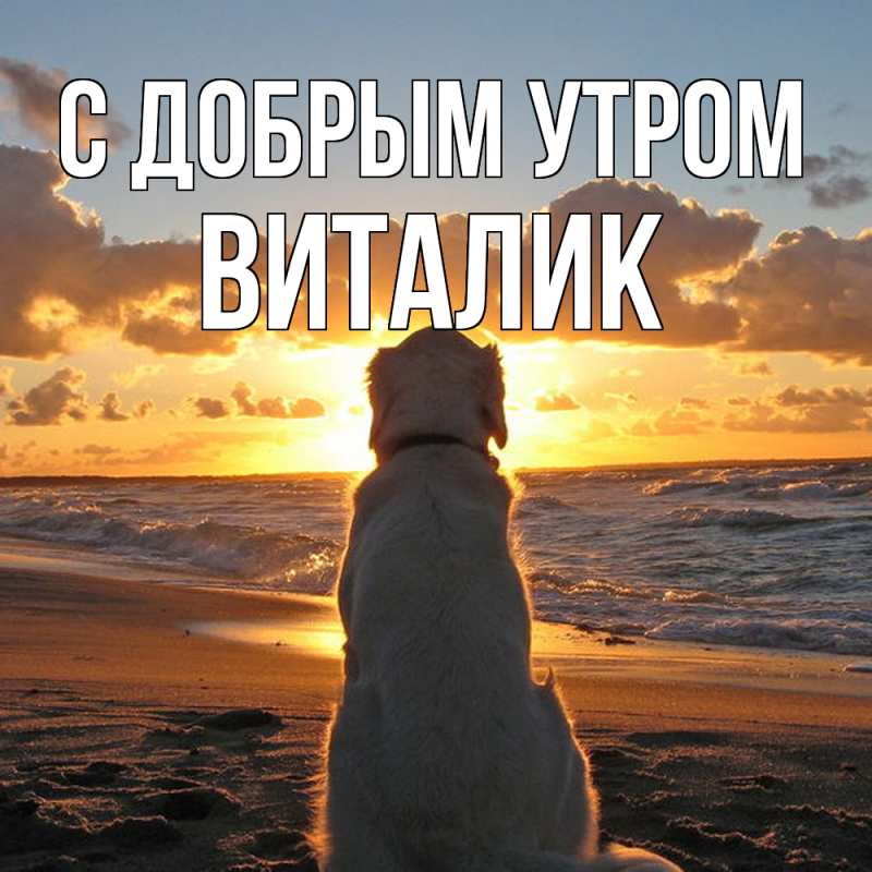 Картинка С добрым утром, Виталик