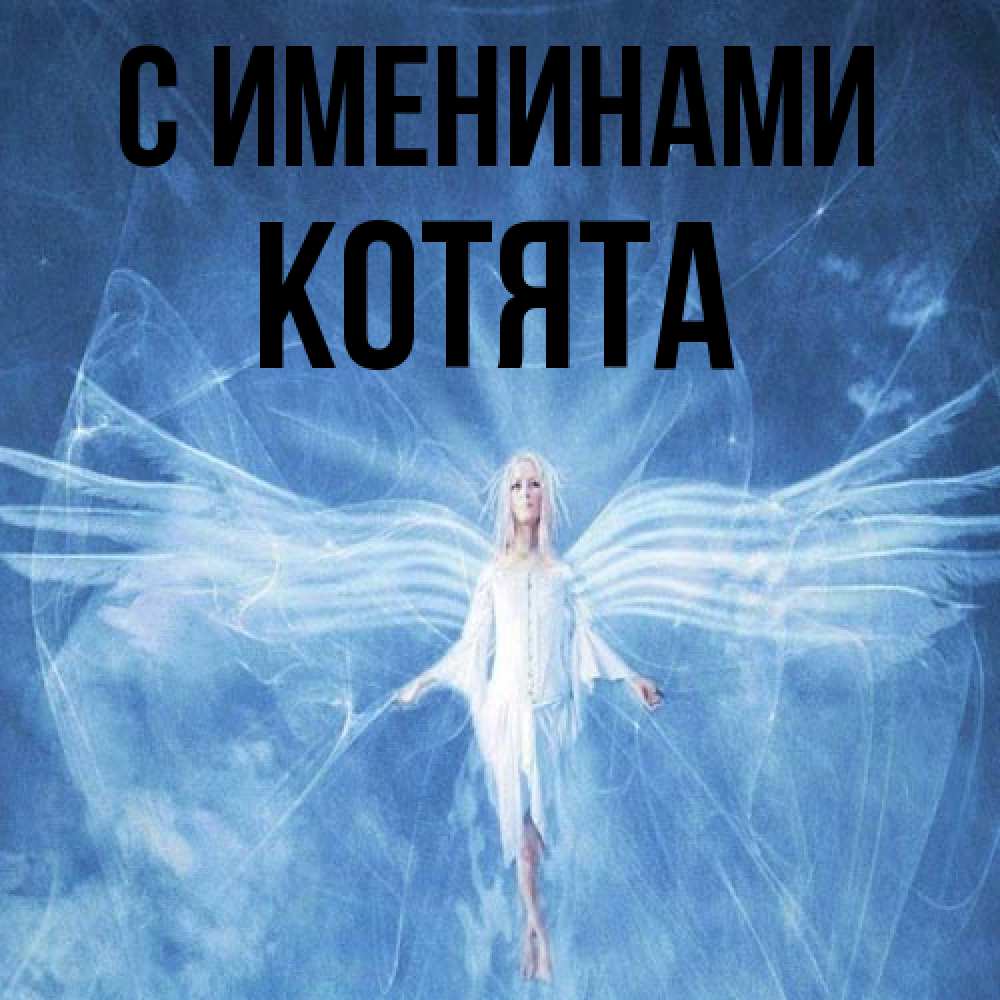 Открытка  с именем. Котята, С именинами  