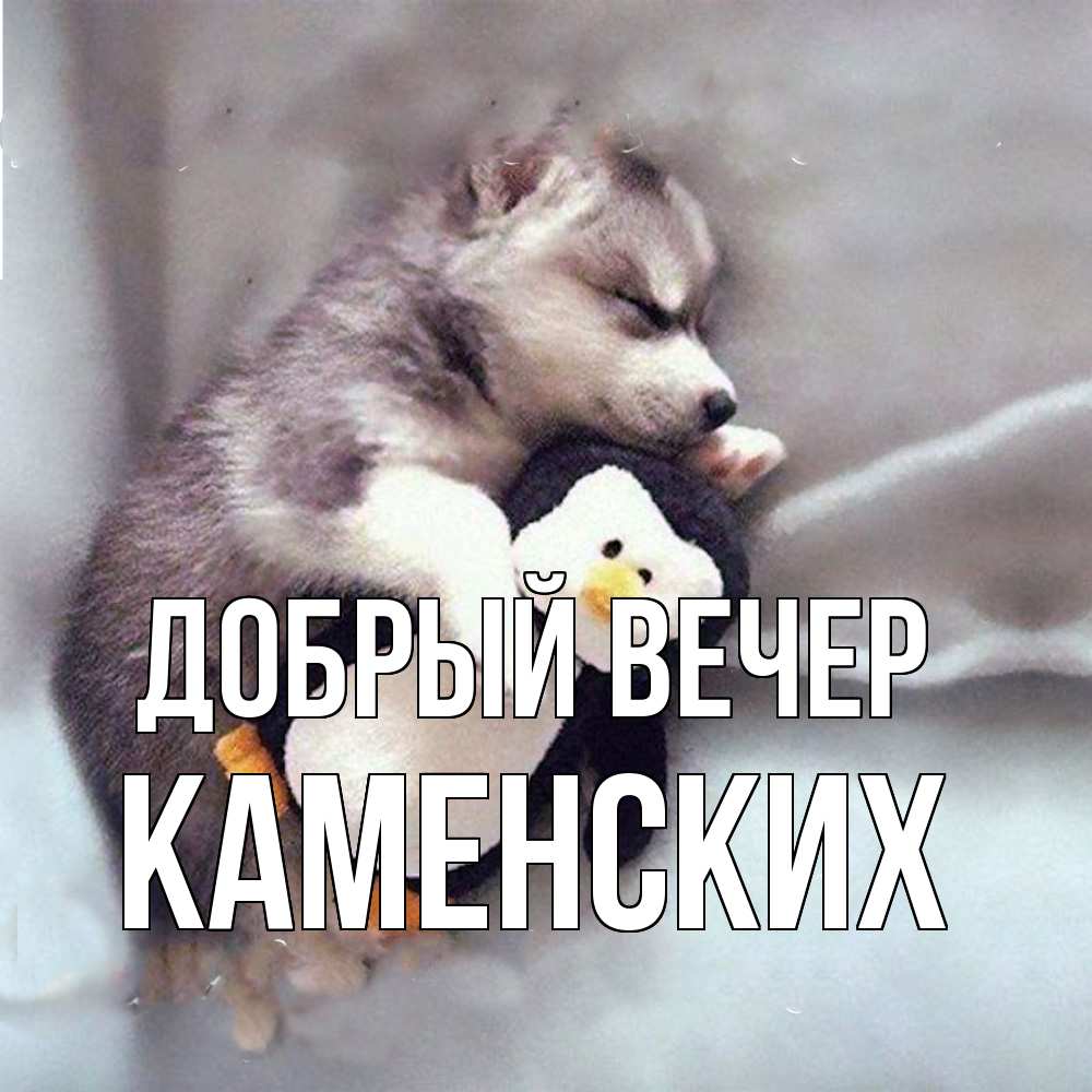 Открытка  с именем. Каменских, Добрый вечер  