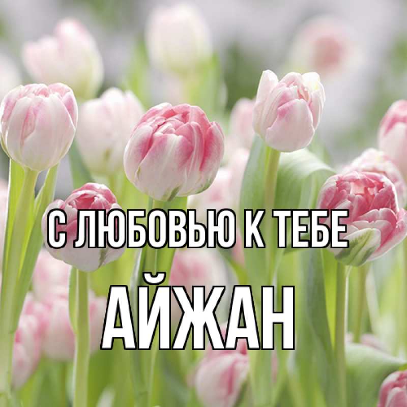 Картинка С любовью к тебе, Айжан