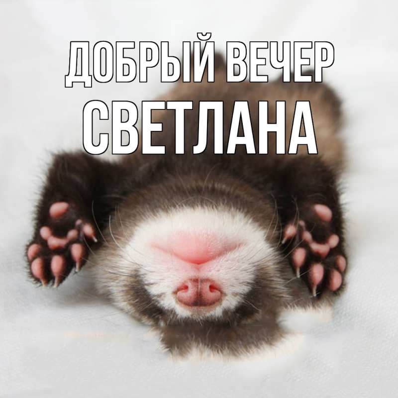Картинка Добрый вечер, Светлана