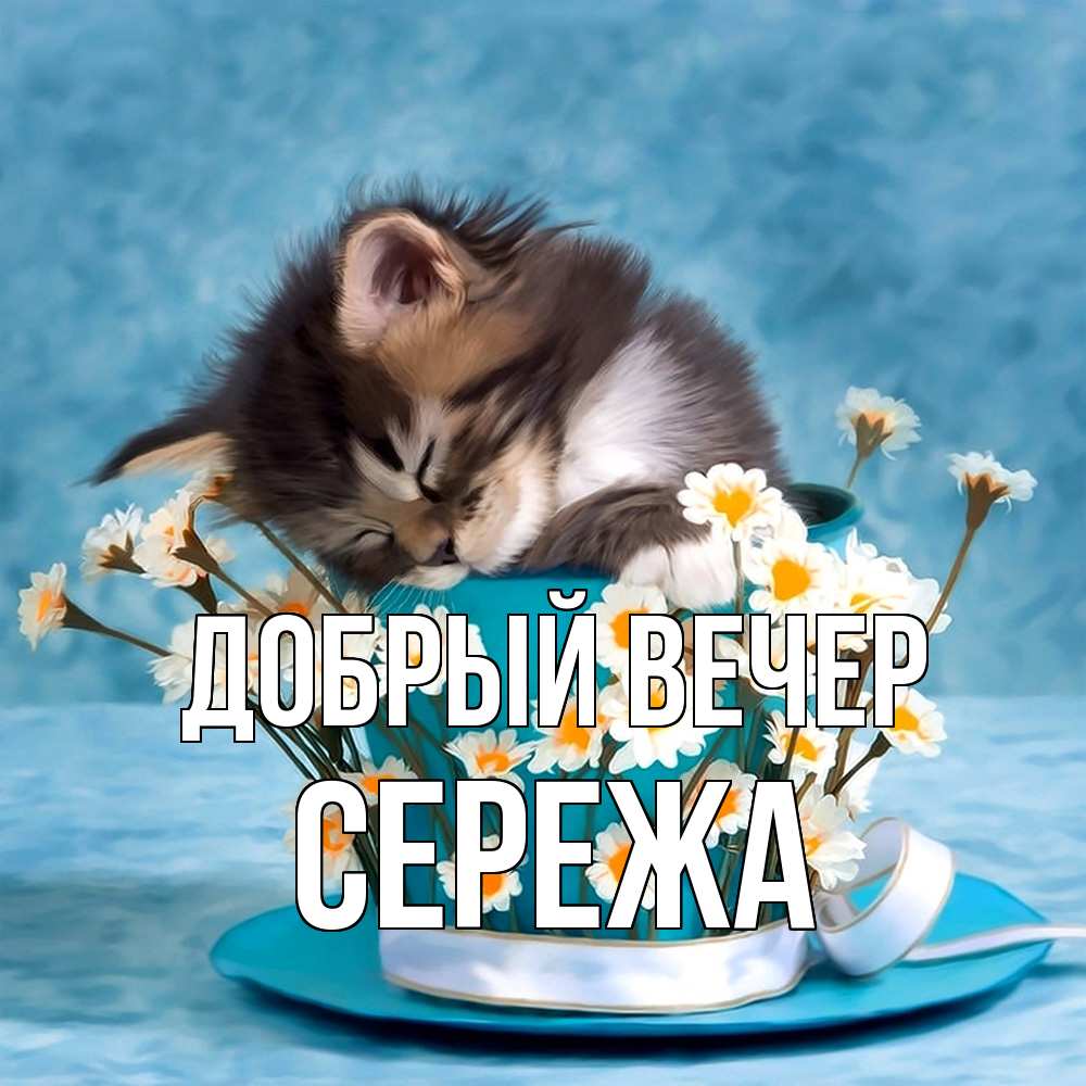Открытка  с именем. СЕРЕЖа, Добрый вечер  