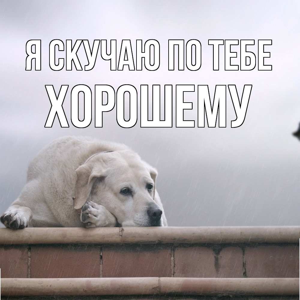 Открытка  с именем. Хорошему, Я скучаю по тебе  
