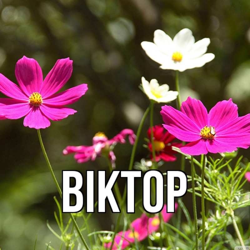 Картинка  с именем , Віктор