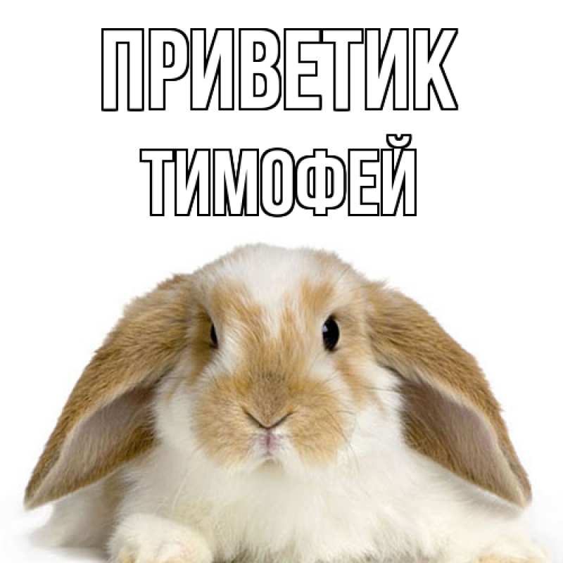 Картинка приветик, Тимофей