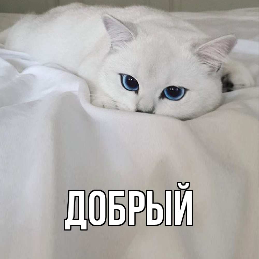 Открытка  с именем. Добрый, Главная  