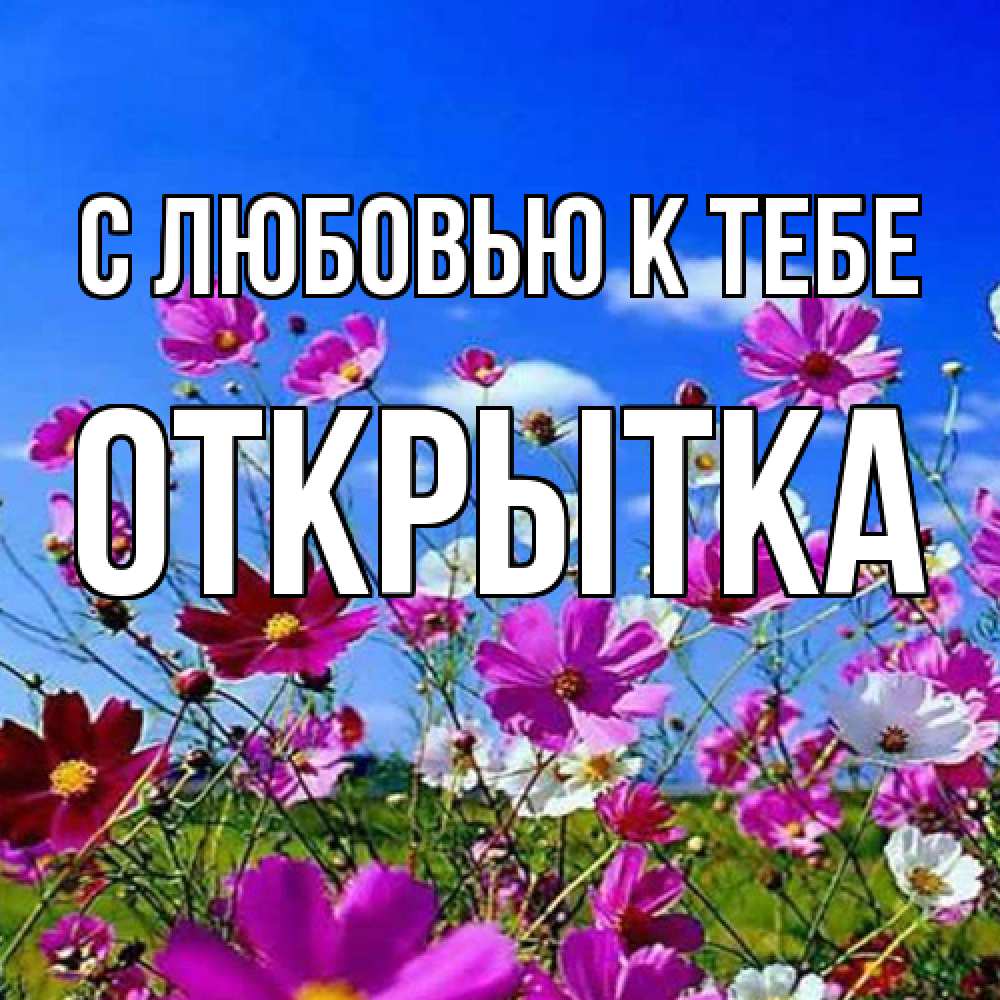 Открытка  с именем. открытка, С любовью к тебе  