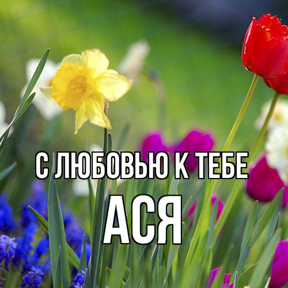 Открытка  с именем. Ася, С любовью к тебе  