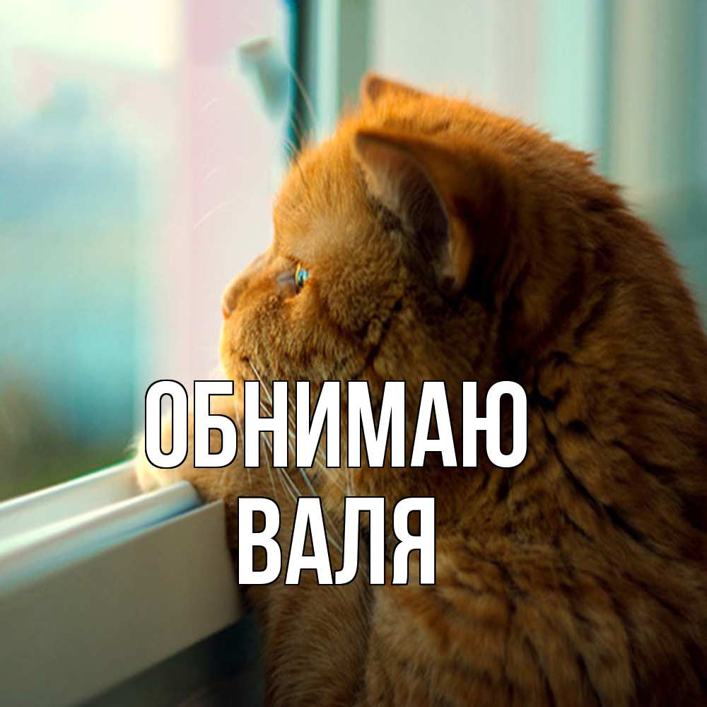 Открытка  с именем. Валя, Обнимаю  
