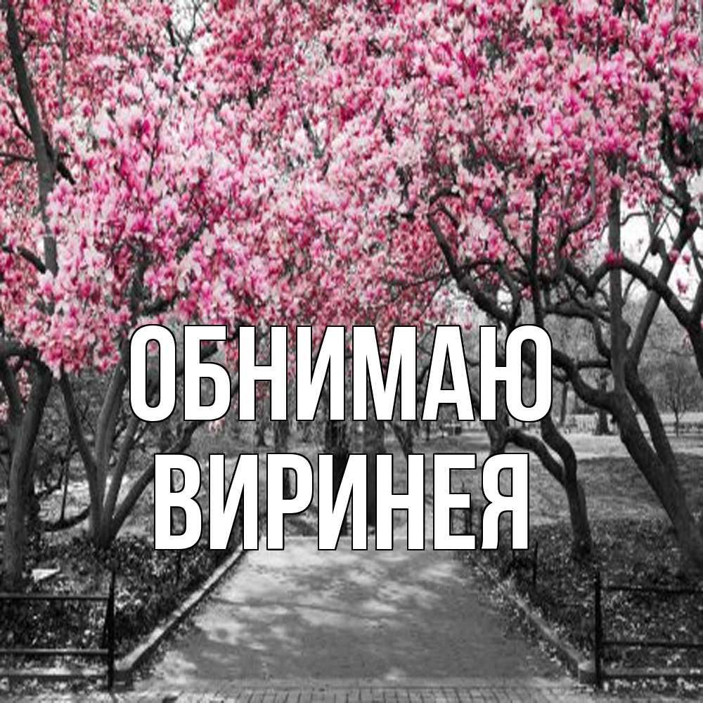 Открытка  с именем. Виринея, Обнимаю  