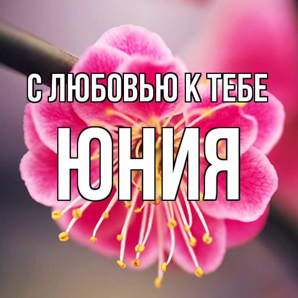 Открытка  с именем. Юния, С любовью к тебе  