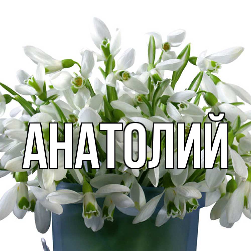Открытка  с именем. Анатолий, Главная  
