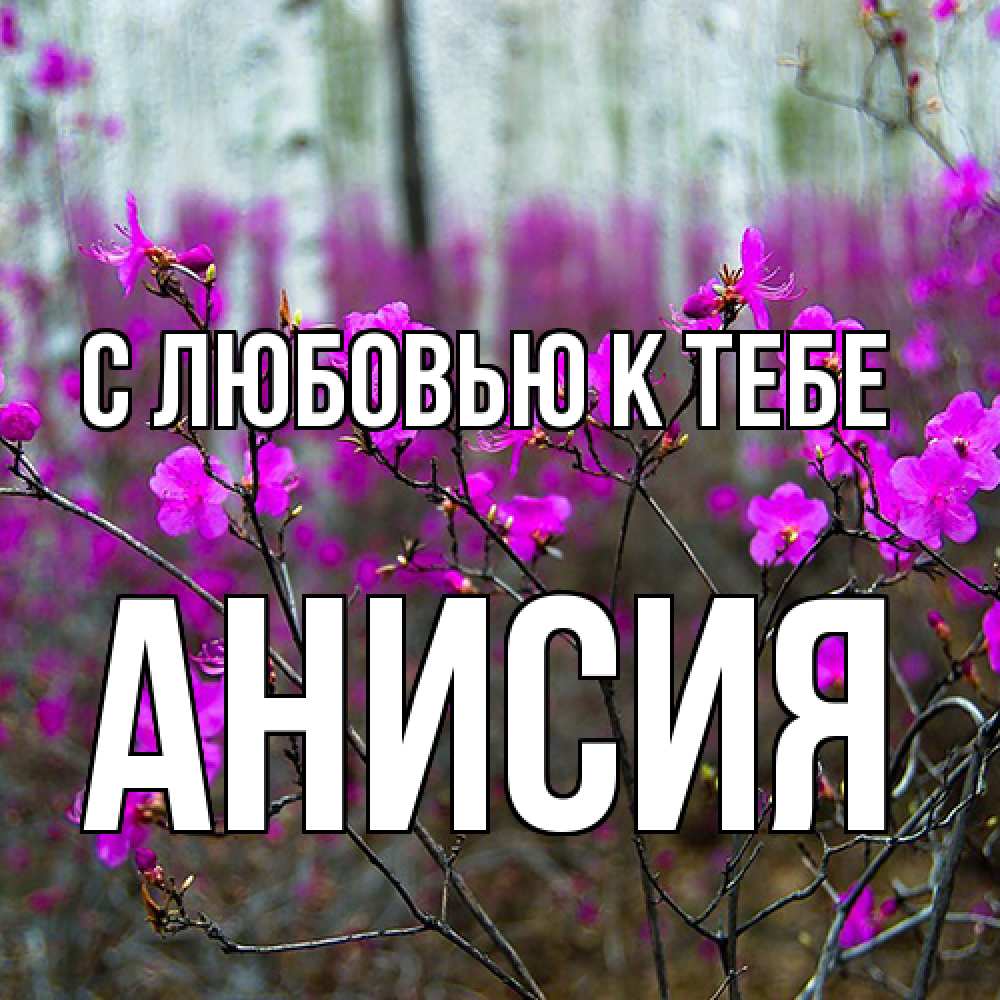 Открытка  с именем. Анисия, С любовью к тебе  