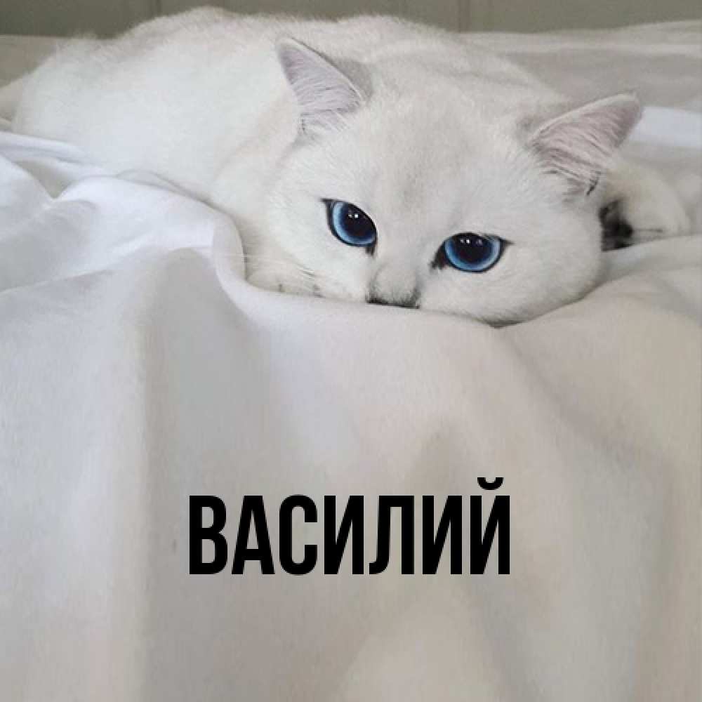 Открытка  с именем. Василий, Главная  
