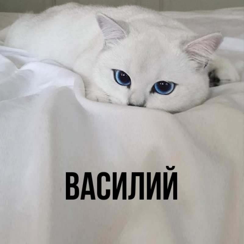 Картинка  с именем , Василий