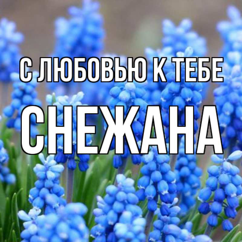 Картинка С любовью к тебе, Снежана
