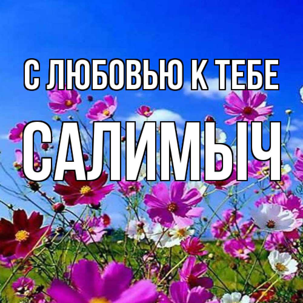 Открытка  с именем. Салимыч, С любовью к тебе  