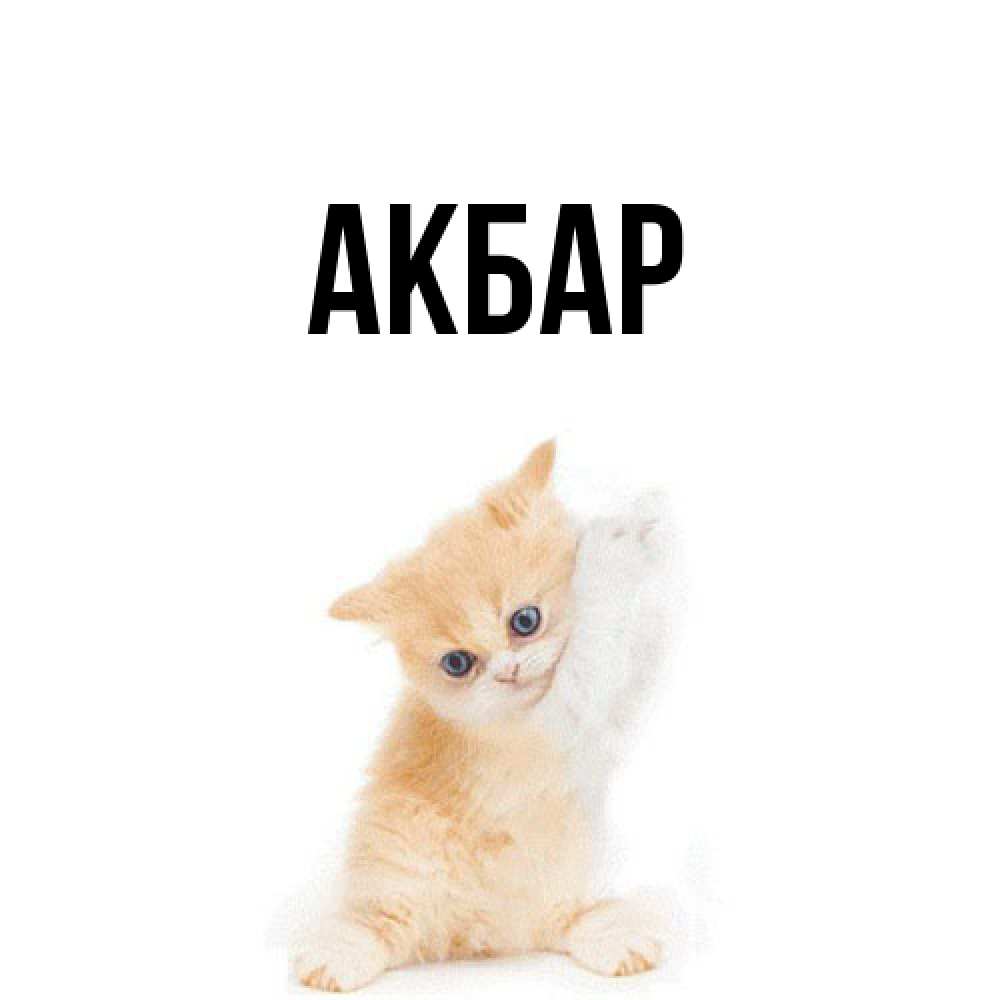 Открытка  с именем. Акбар, Главная  