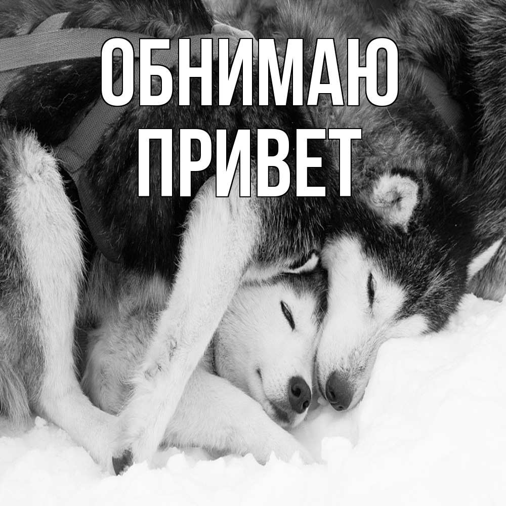 Открытка  с именем. Привет, Обнимаю  