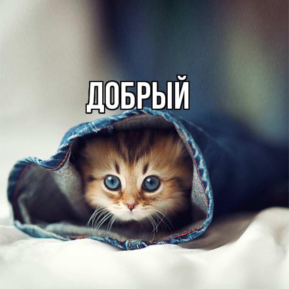 Открытка  с именем. Добрый, Главная  