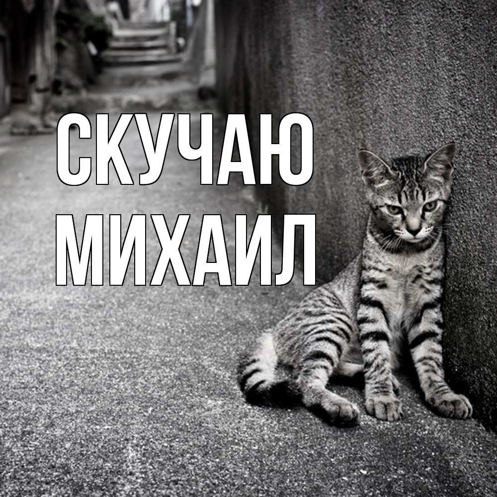 Открытка  с именем. Михаил, Скучаю  
