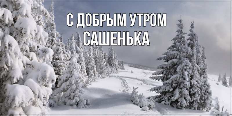 Картинка С добрым утром, Сашенька
