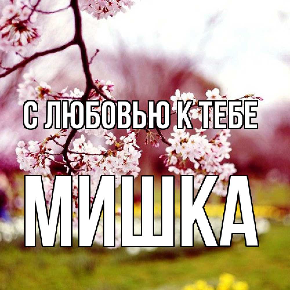 Открытка  с именем. Мишка, С любовью к тебе  