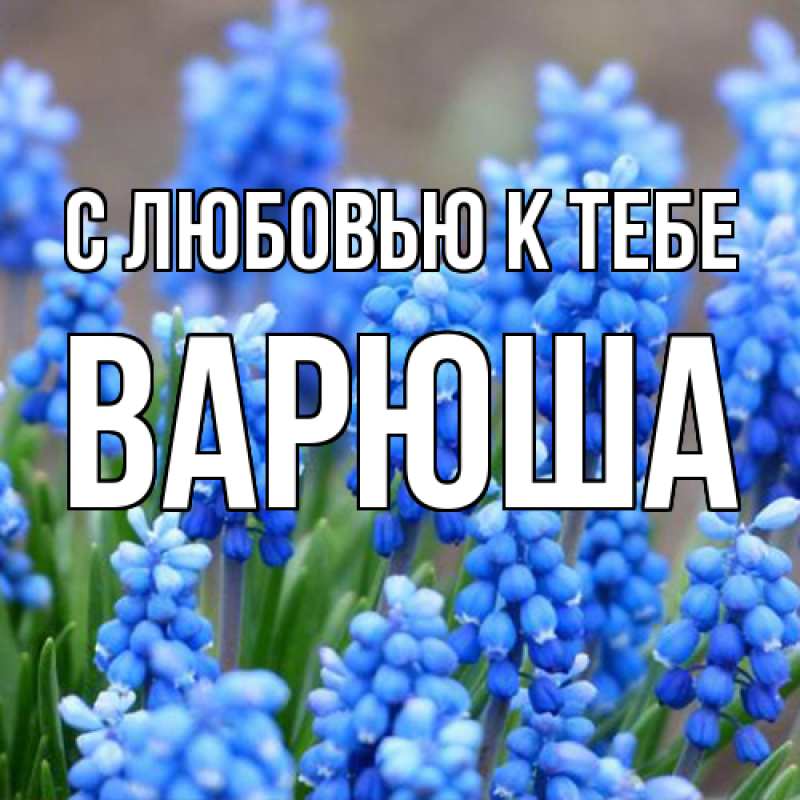 Картинка С любовью к тебе, Варюша