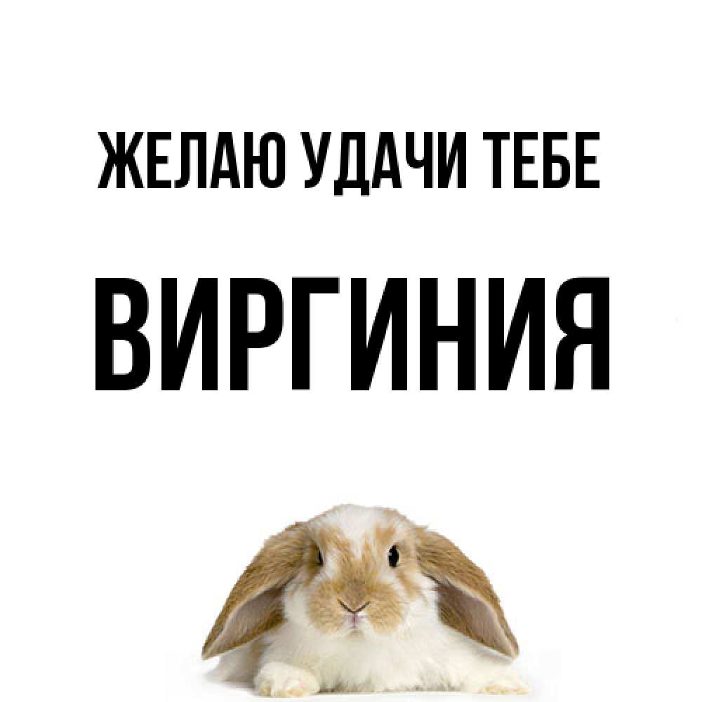 Открытка  с именем. Виргиния, Желаю удачи тебе  
