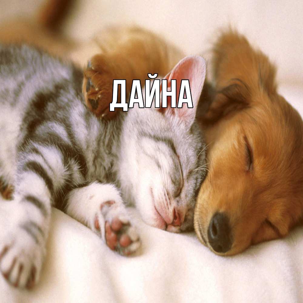 Открытка  с именем. Дайна, Главная  