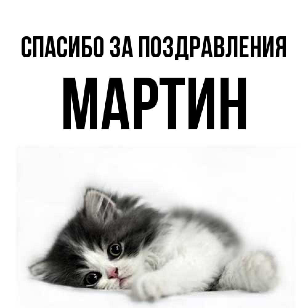 Открытка  с именем. Мартин, Спасибо за поздравления  