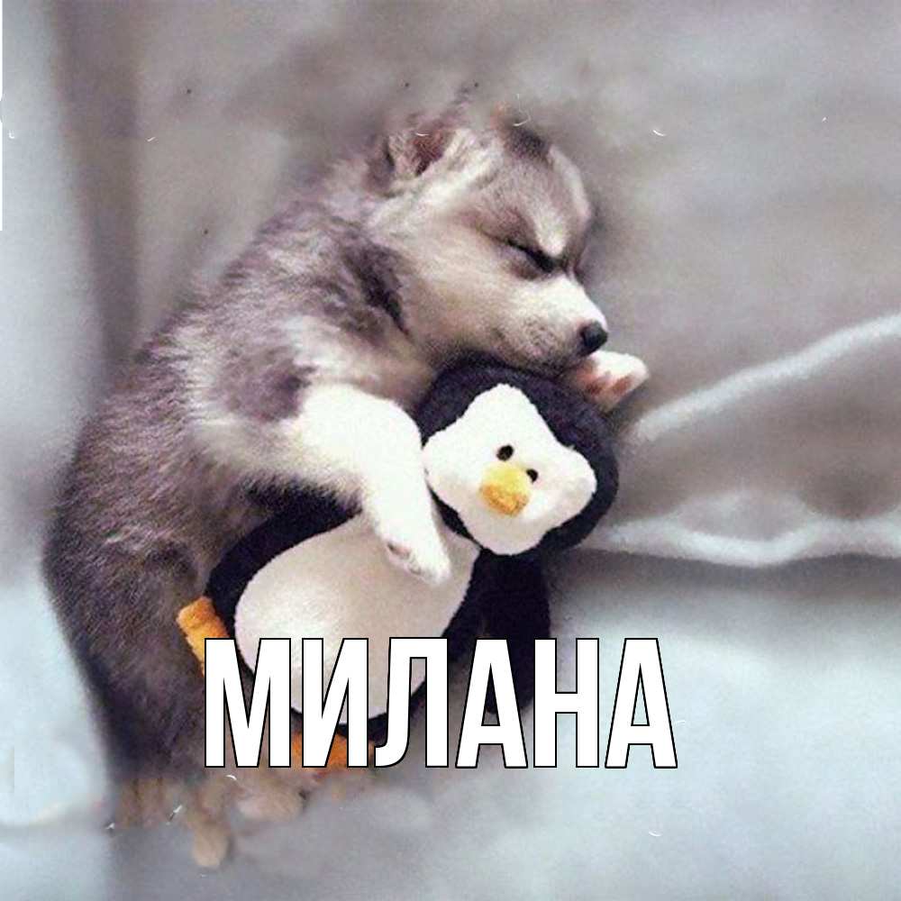 Открытка  с именем. Милана, Главная  