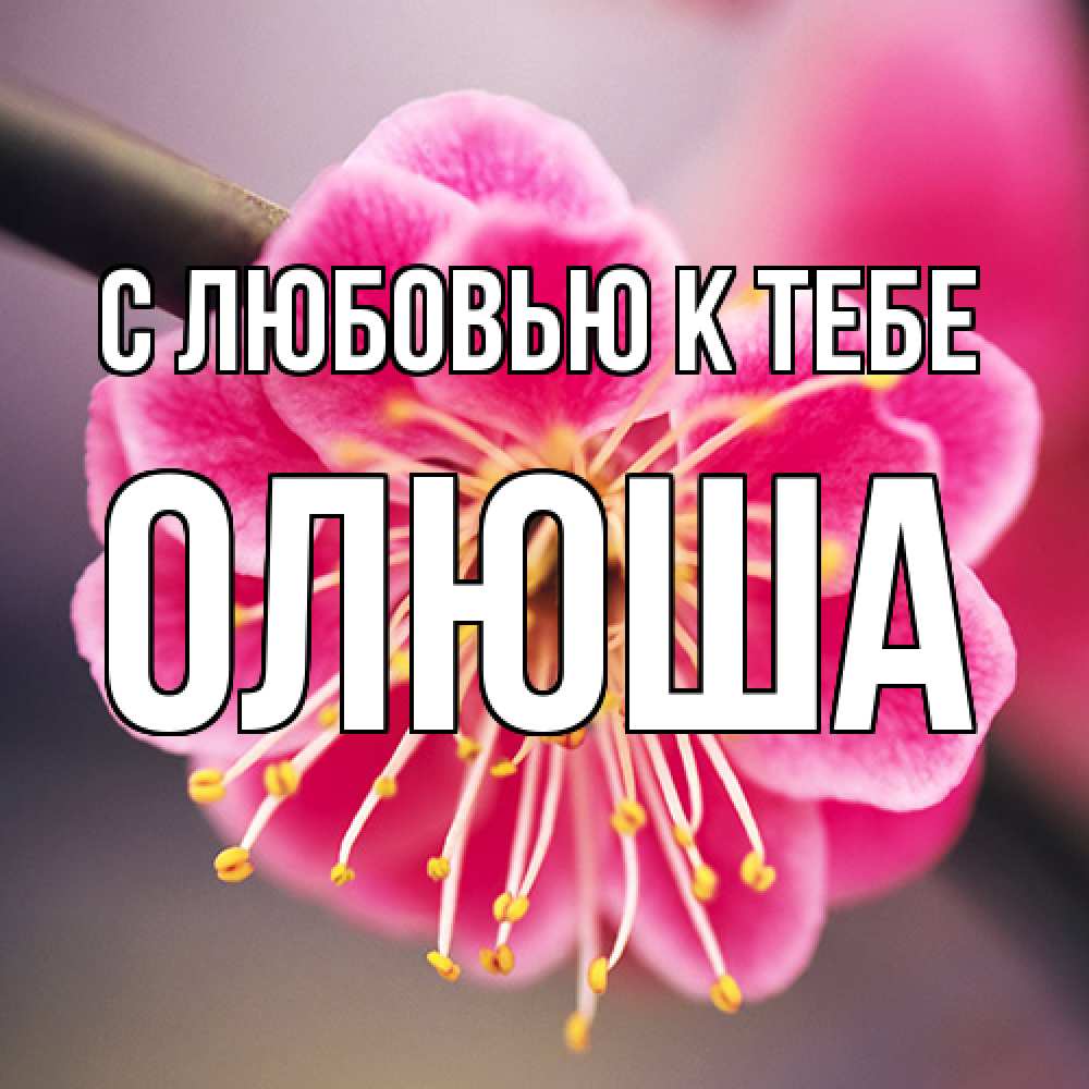 Открытка  с именем. Олюша, С любовью к тебе  