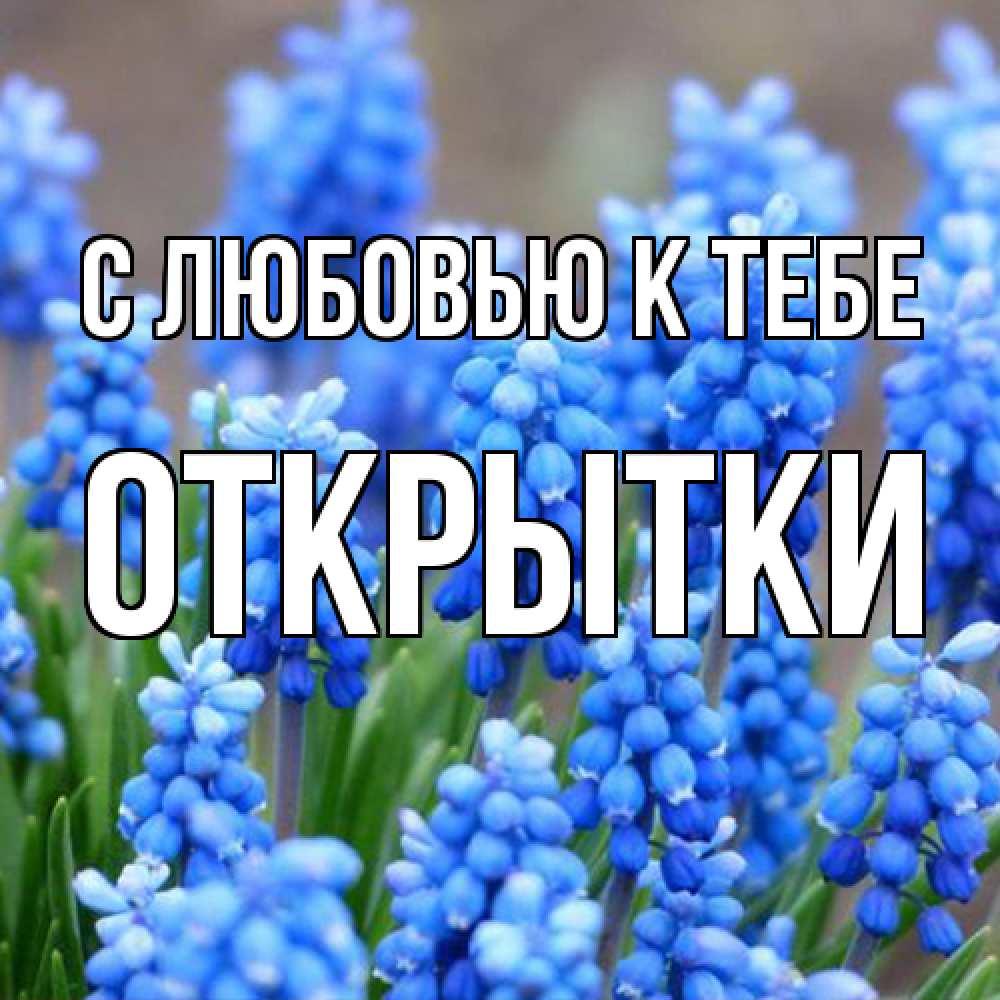 Открытка  с именем. открытки, С любовью к тебе  